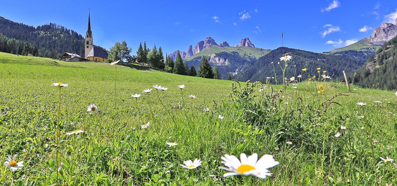 Appartamenti Arnica Alba di Canazei Exterior foto